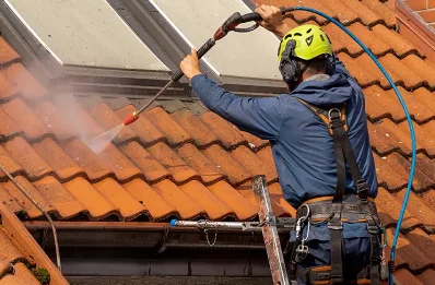 Démoussage et hydrofuge de toiture à Allègre